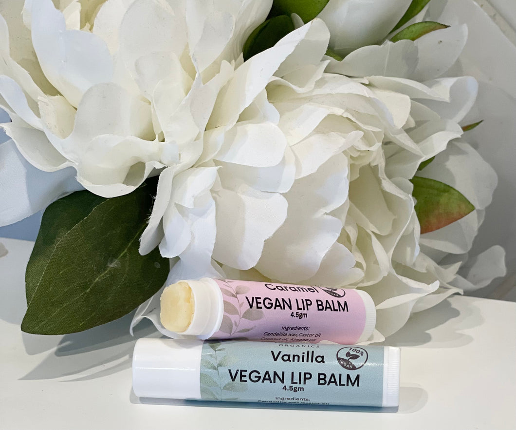 Vegan Lip Balm 4.5gm